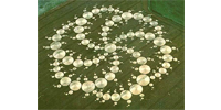 Crop Circles